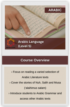 Arabic Language Level 5